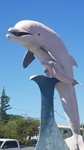dolphin research center statue