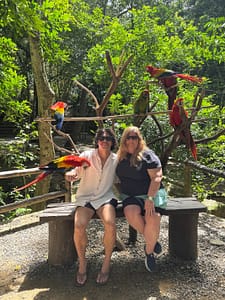 mccaws at Gumbalimba Park