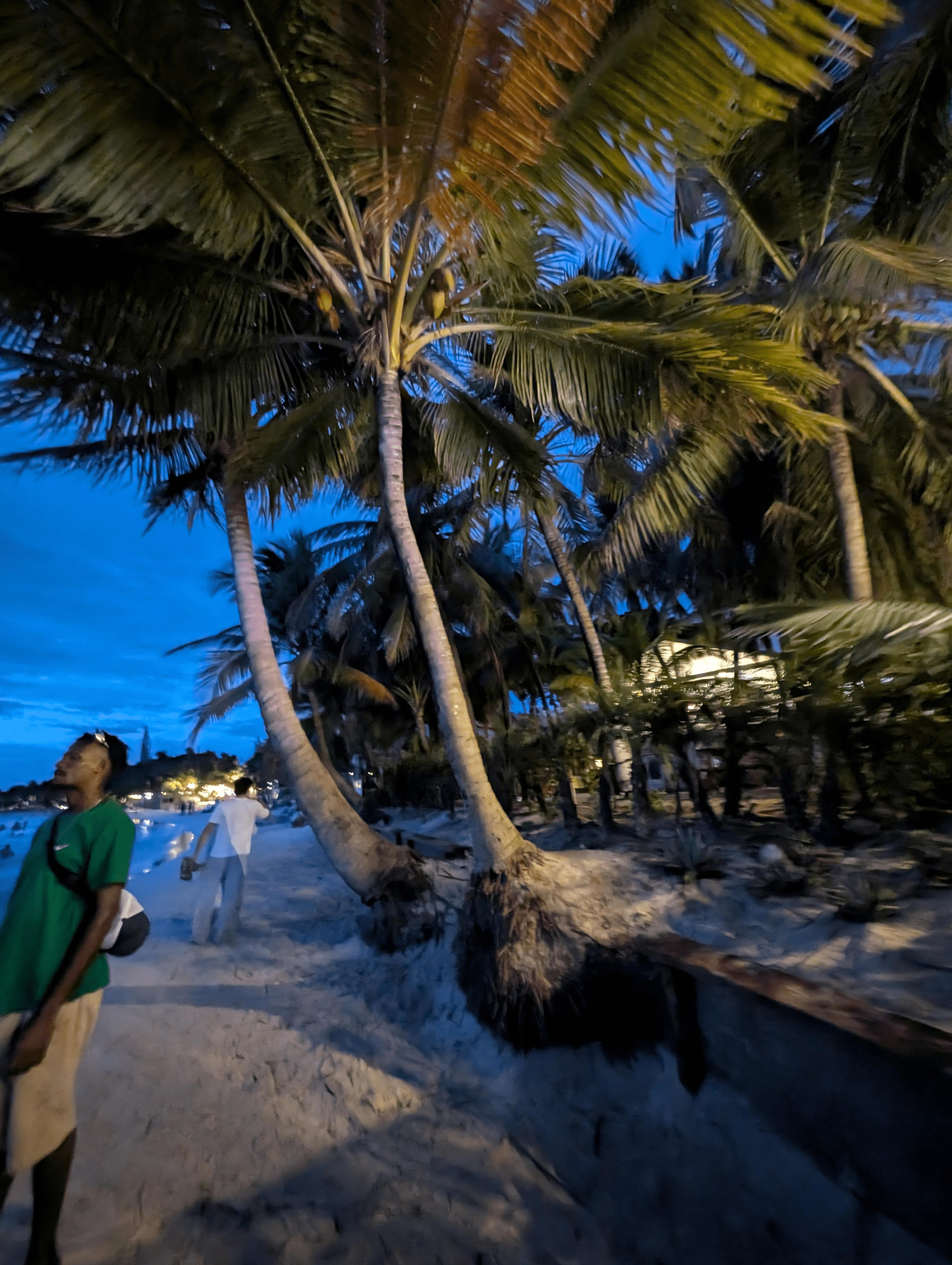 walk from infinity bay to bananarama