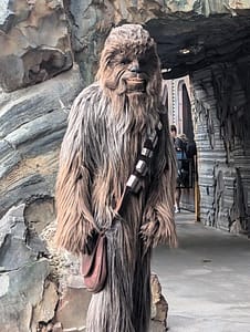 Chewbacca at Walt Disney World Star Wars: Galaxy's Edge at Disney's Hollywood Studios