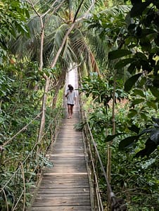 bridge at Gumbalimba Park