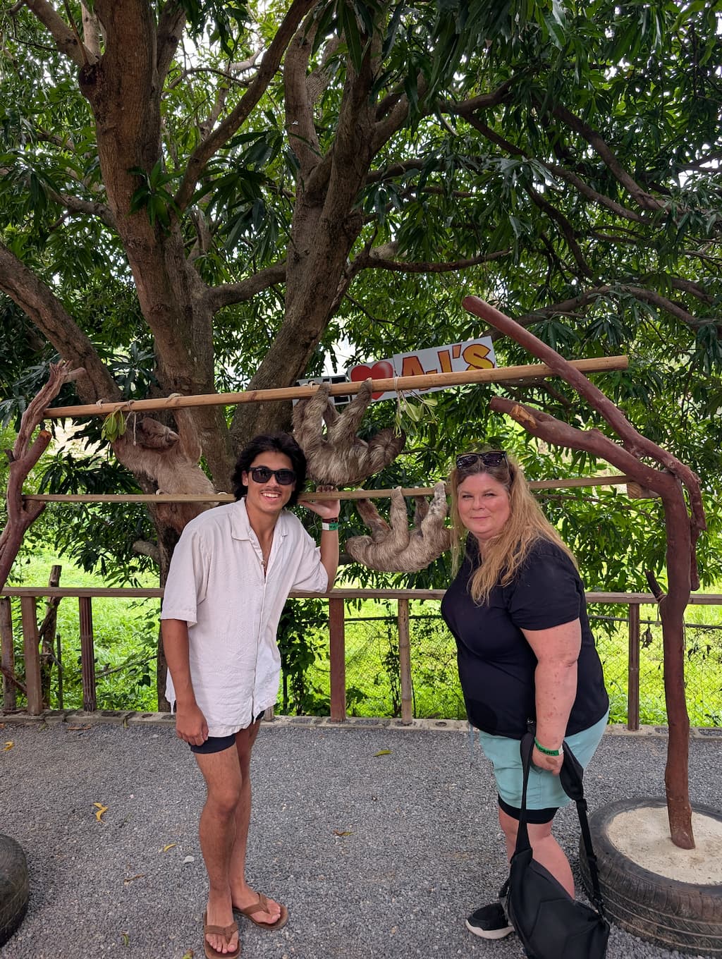 sloth at aj's sloths and monkeys in roatan