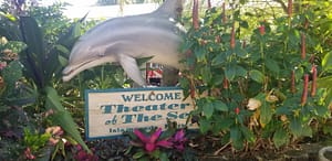 theater of the sea Islamorada