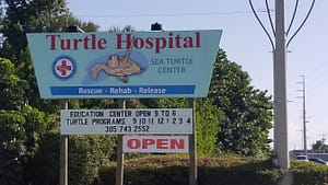 The Turtle Hospital in Marathon, FL