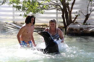 sea lion encounter at theater of the sea Islamorada