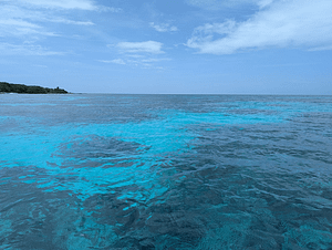 water on east roatan tour